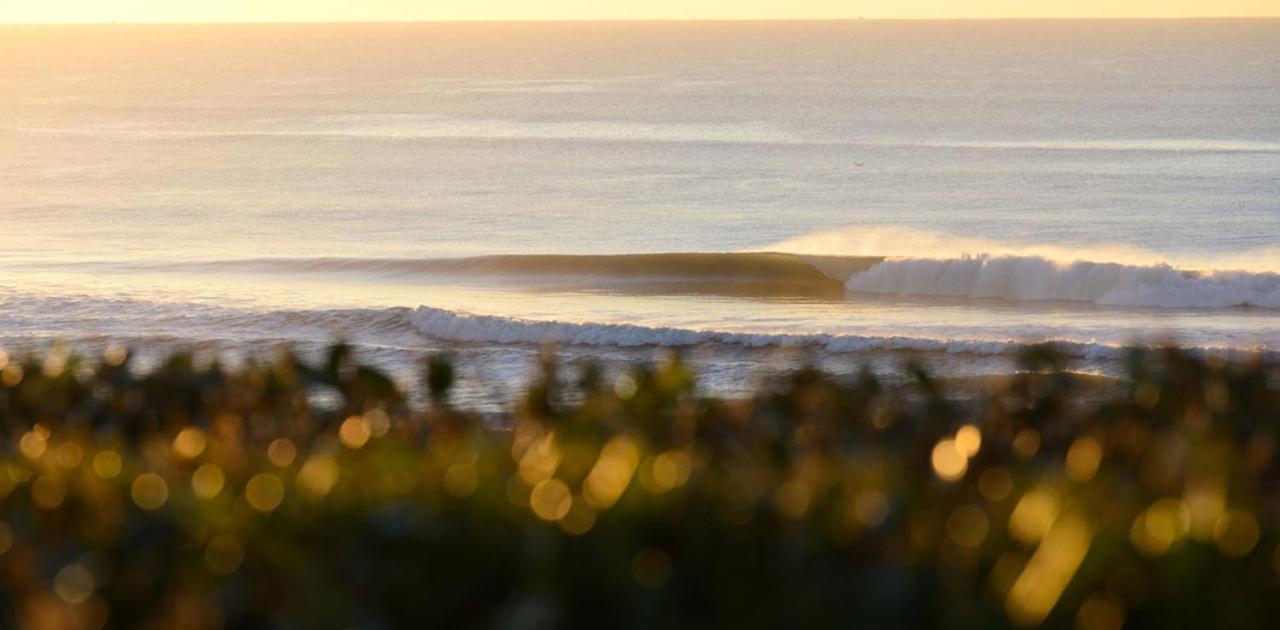 The Spot Surfcamp Hotell Biscarrosse Eksteriør bilde